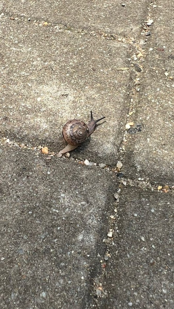 🧺 :｡⁠*ﾟ⁠+everything feels better —🍉⛅

#akia_rchive