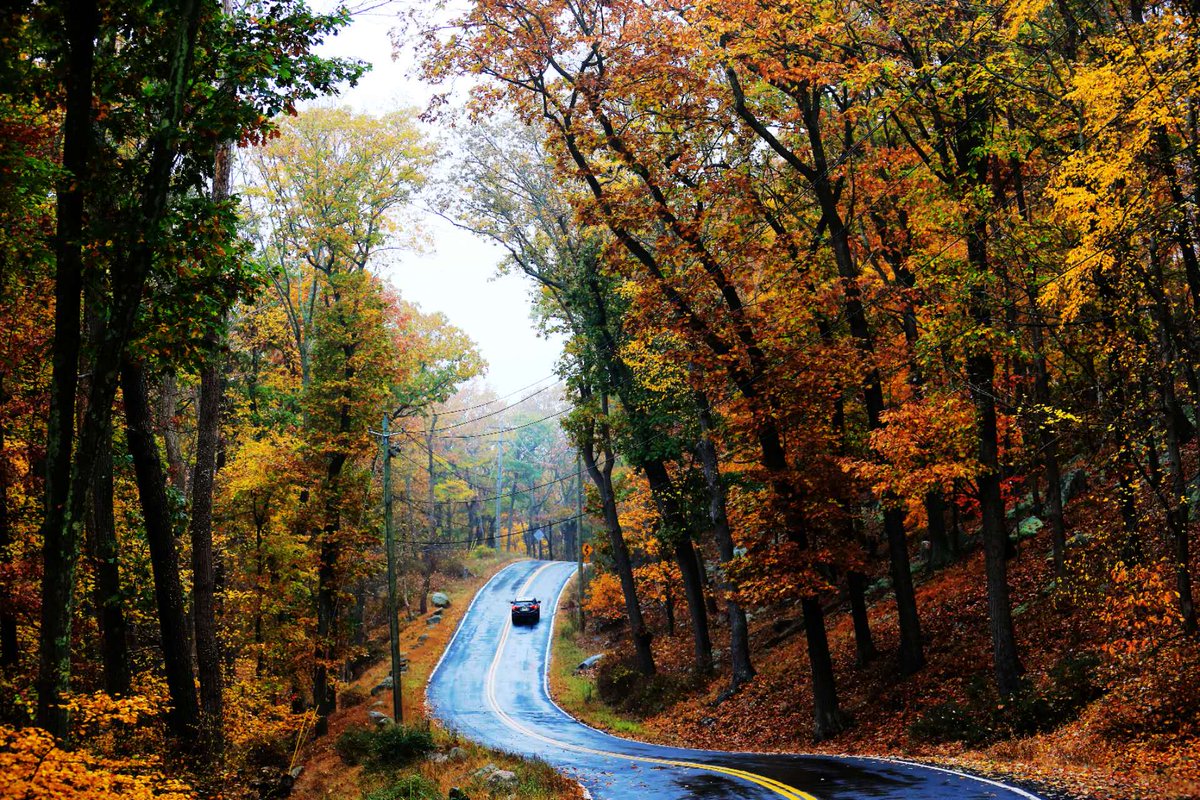 CGChenLiNY's tweet photo. Today is #立秋, #AutumnBeginning, a cherished solar term in China, marking the transition from summer to autumn. With photos I took last year while strolling beside #SevenLakes near #BearMountain I send my greetings to everyone on this special day. Let's savor the beauty of the season.
