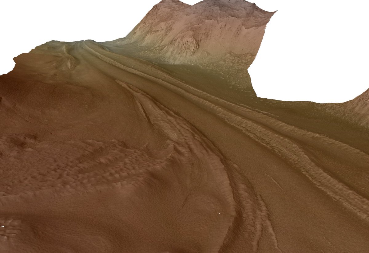 Graham Driver tweet media