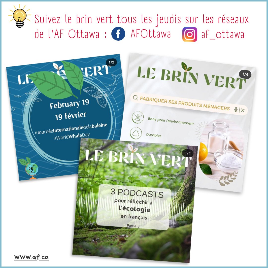 🌿 Saviez-vous que l’#afottawa publie un Brin vert hebdomadaire sur le modèle de la Touche verte ? Encore plus de ressources en lien avec l’actualité environnementale, écologique, scientifique ! Rendez-vous chaque jeudi sur leurs réseaux sociaux <a href="/af_ottawa/">Ashley Fraser</a>.  
#afhalifax #RSO #SER