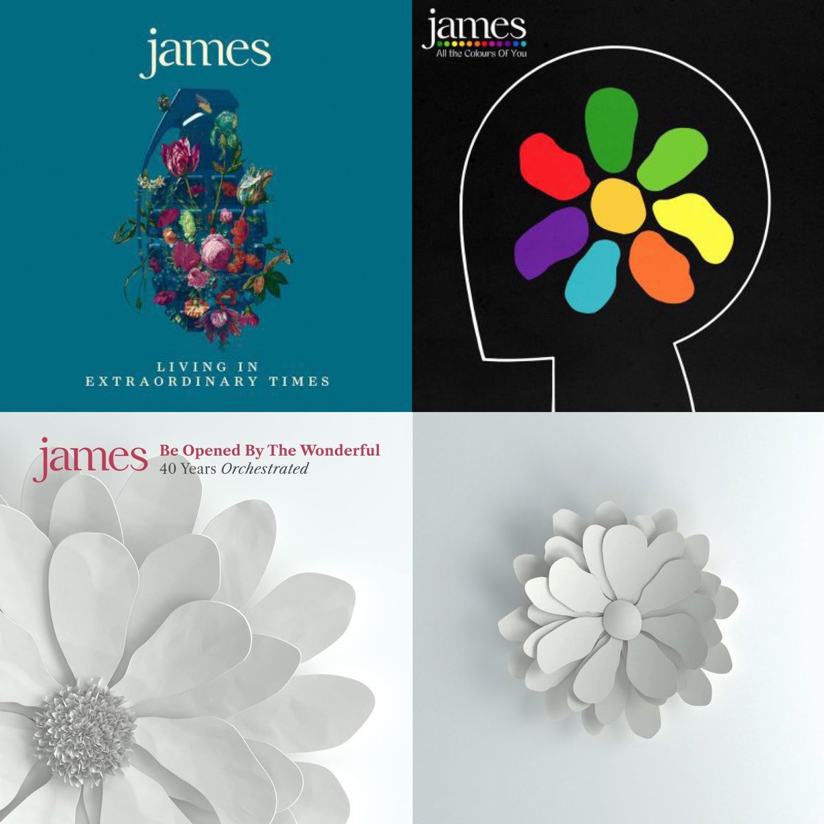 James Tansley tweet media