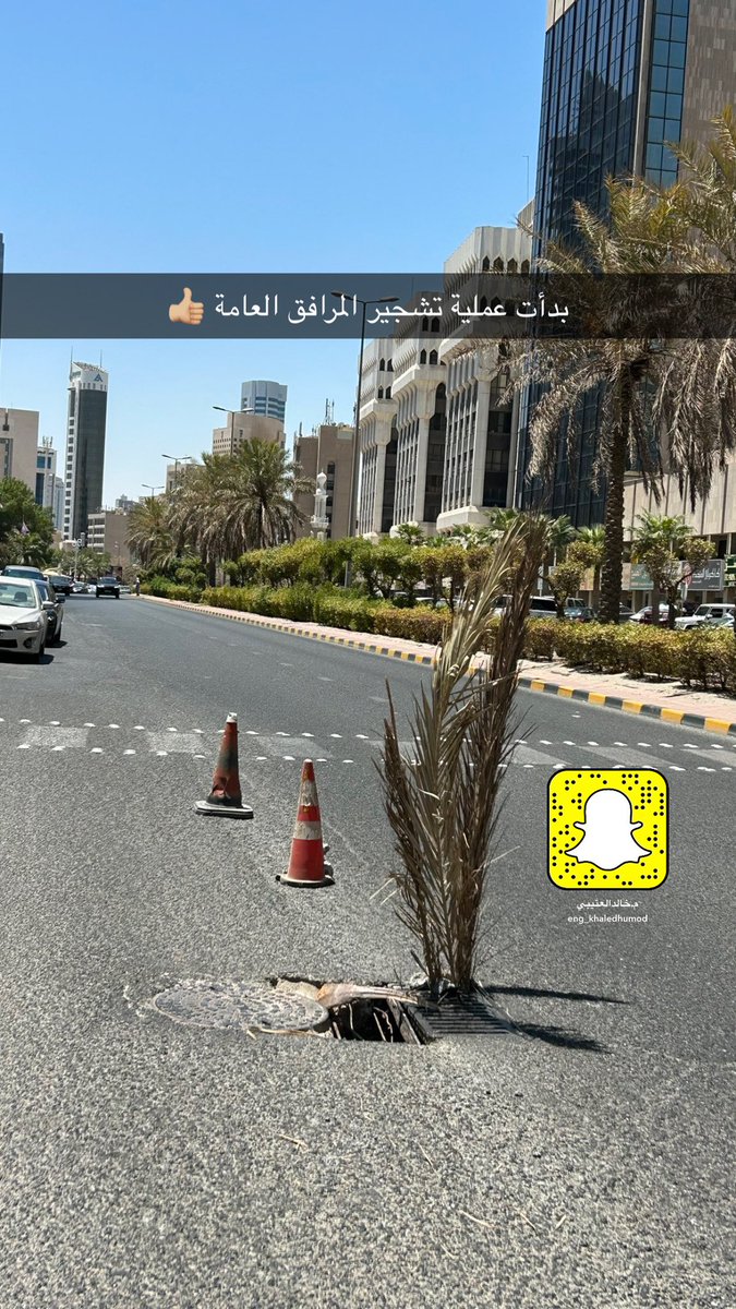 بالتوفيق يارب