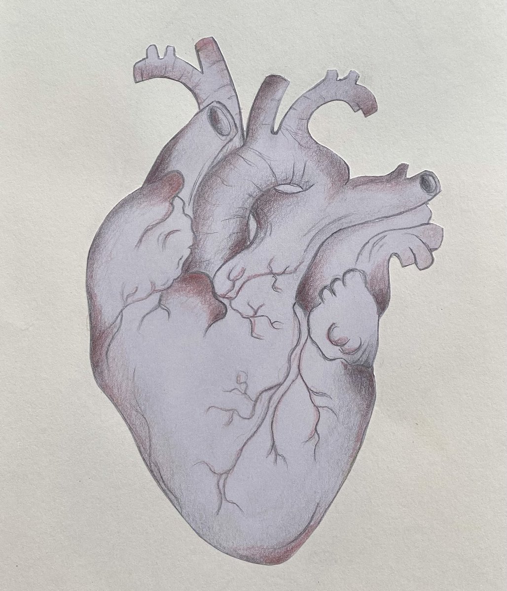 𝐻𝑒𝒶𝓇𝓉 𝓈𝓀𝑒𝓉𝒸𝒽