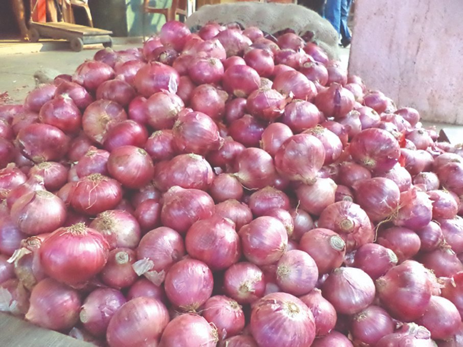 NewsbandTweets's tweet image. Onion prices continue to remain high at APMC market

newsband.in/?p=43195

#APMCmarket #Heavyrains #kitchenessential #ManoharTotlani #onionmarket #Onionprice #rainfall #Retailmarkets #Vashi #wholesalemarket