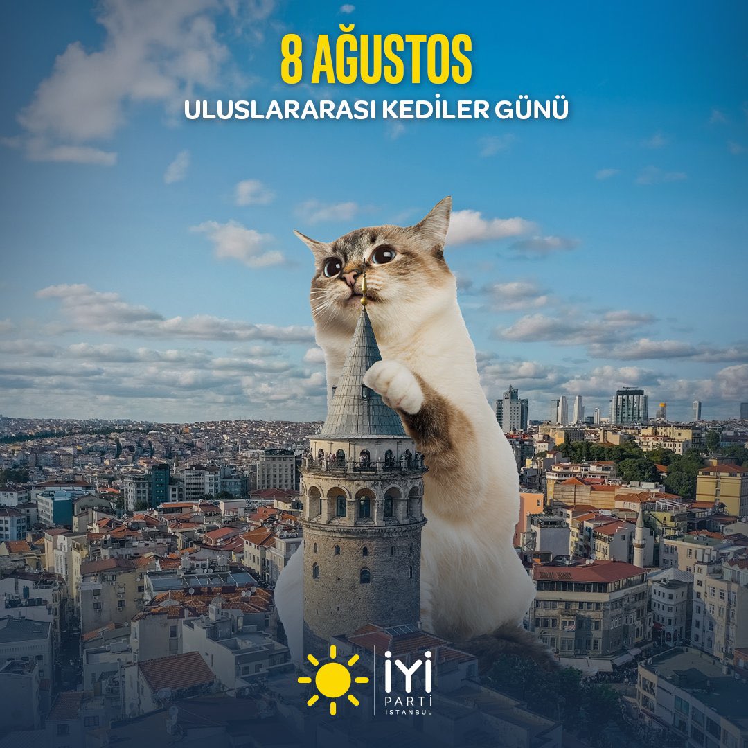 yilmaz_dagdelen's tweet image. #Kediaupdates