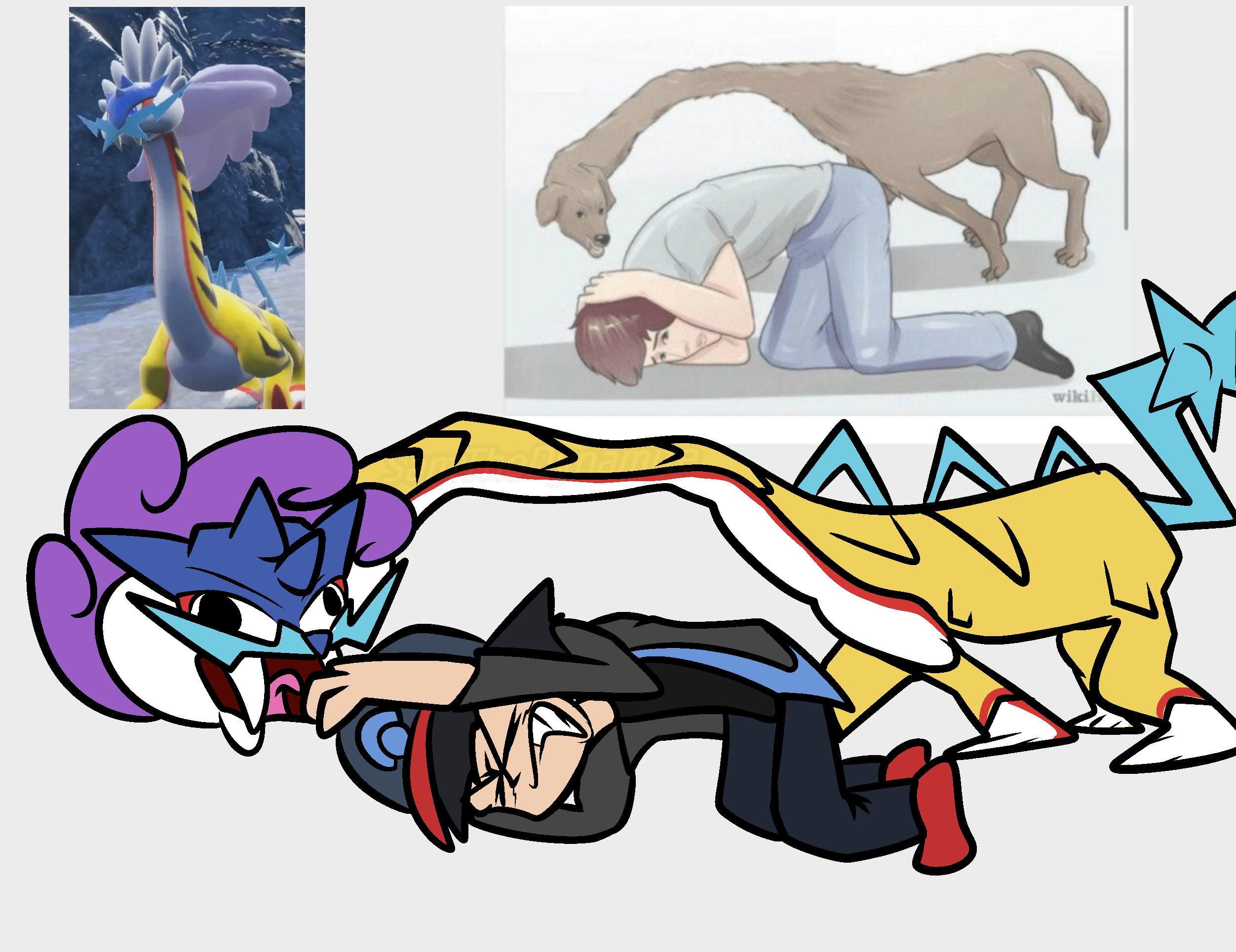 Raikou, Wiki Pokémon