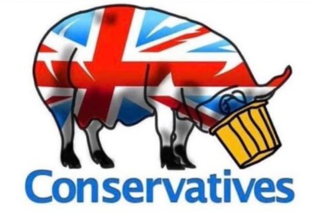 Lady Irene Garth 🐟🔶#FBPE/#PR/#PA #Woke tweet media