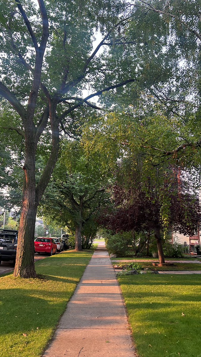 AlkarimDevani tweet media