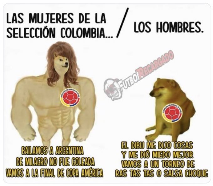 nacional_memes's tweet photo. ¿y si mejor le damos el presupuesto de los hombres a la selección de mujeres? 🐱 https://t.co/6lVrt1Ujbs