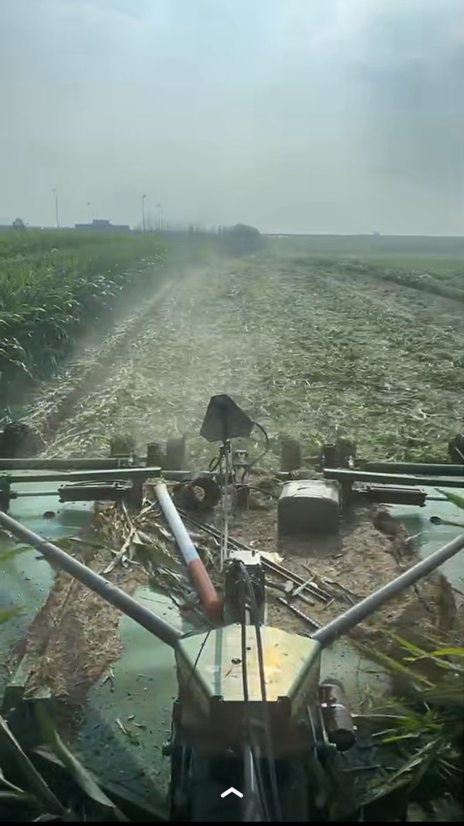 Benjamin Nething tweet media