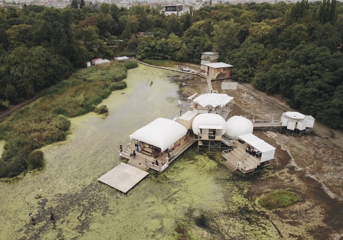 Dr Maria Maclennan (She/Her) 💎💀🎨🕵🏼‍♀️🔍 tweet media