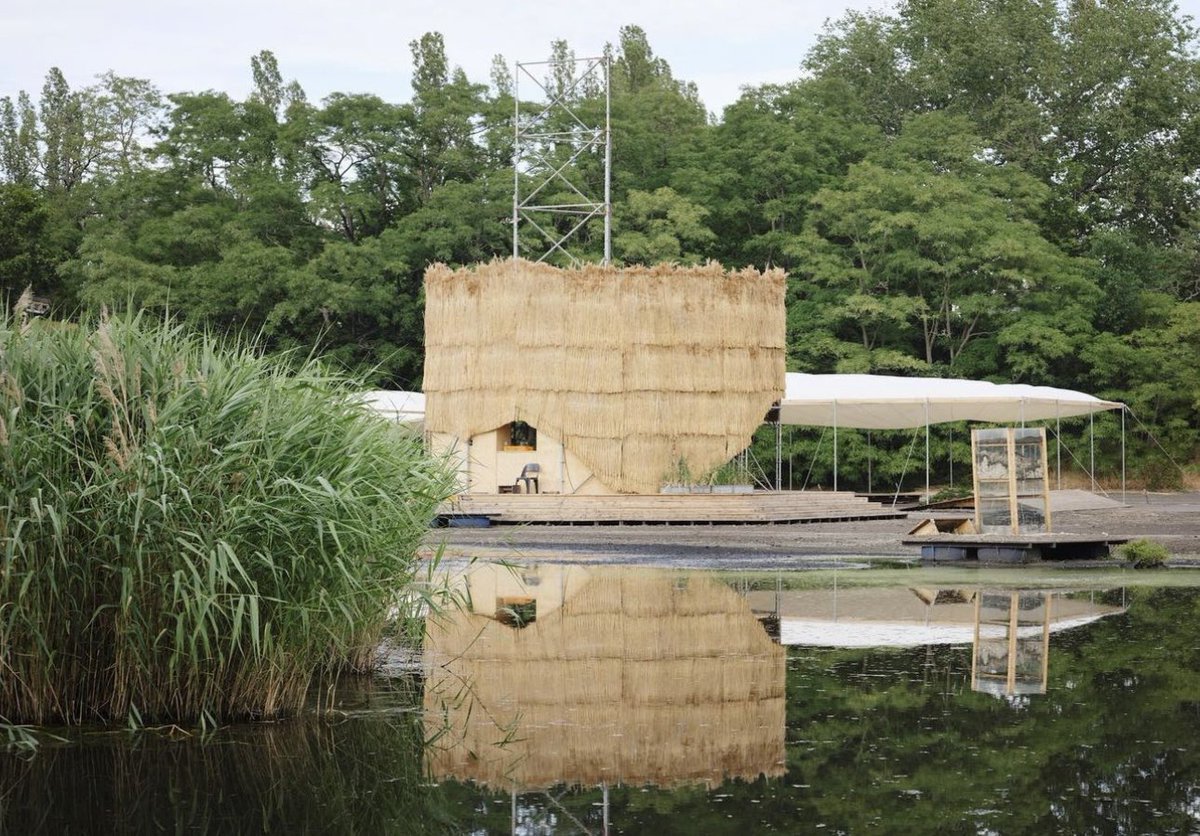 Dr Maria Maclennan (She/Her) 💎💀🎨🕵🏼‍♀️🔍 tweet media