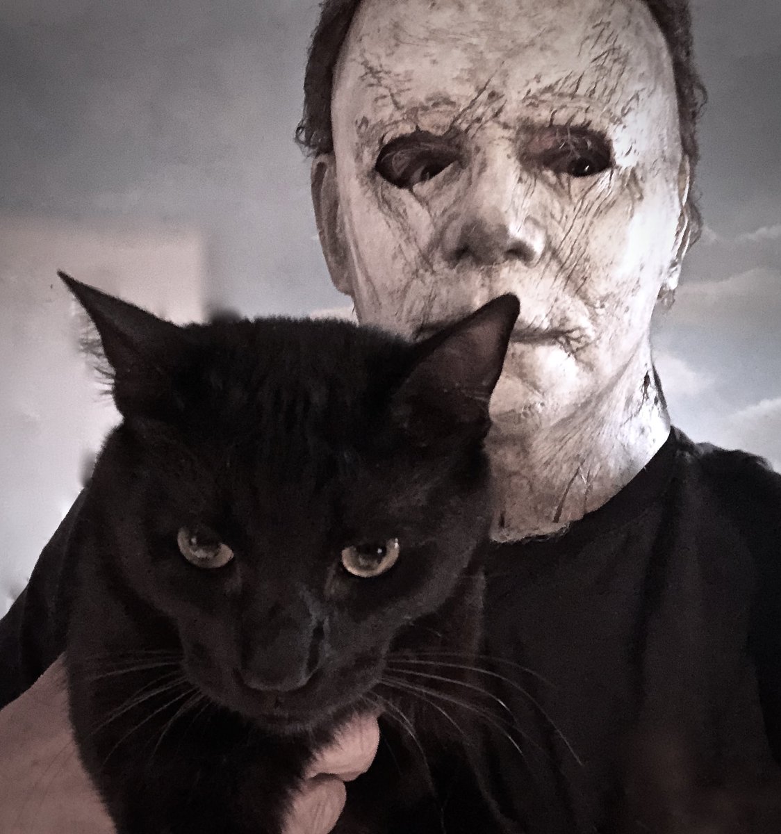 One of the most adorable things on Twitter is Michael Myers actor Nick Castle &amp; his adopted cat Michael Meowers
