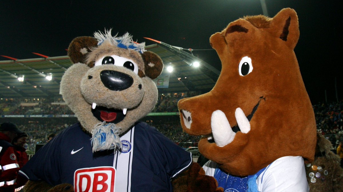 @WuseligerDennis <a href="/HerthaBSC/">Hertha BSC</a> <a href="/Schmidinho7/">Lukas</a> 🔥 💙 🤍 🐻 X 🐗 🤍 💙 🔥