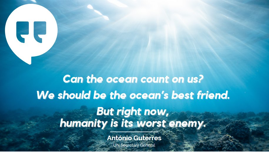 We need science, people and action.

We are #GenerationOcean.

For the ocean we need.

Join the movement 👉oceandecade.org #OceanDecade