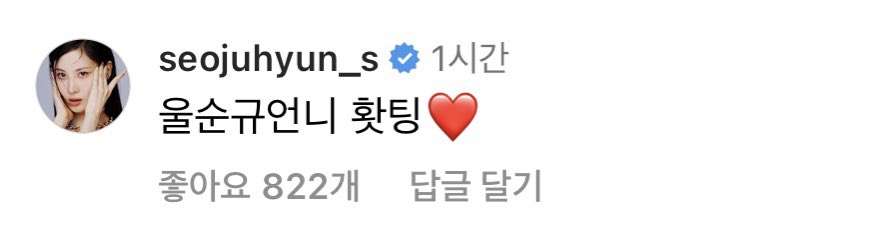 써니 인스타 서현이 댓글🥺😭

"울순규언니 홧팅❤️"