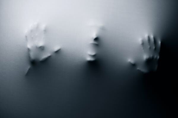 Carole Bruce tweet media