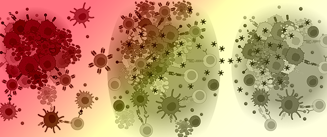 ✨#TitleStory
Check out our new title story:
Combining CAR T Cell Therapy and Oncolytic Virotherapy for #Pediatric Solid #Tumors: A Promising Option by Hong Jiang et al. @MDAndersonNews 
#Immunotherapy 

👉Full text: mdpi.com/2673-5601/3/1/4