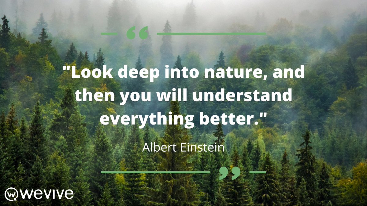 weviveapp's tweet photo. Do you agree? 🙌🌏🙌🌏

#climate #climateaction #earthtweet #eco #EcoMonday #wevive #findyourtribeonwevive https://t.co/h5x5FkpLk3