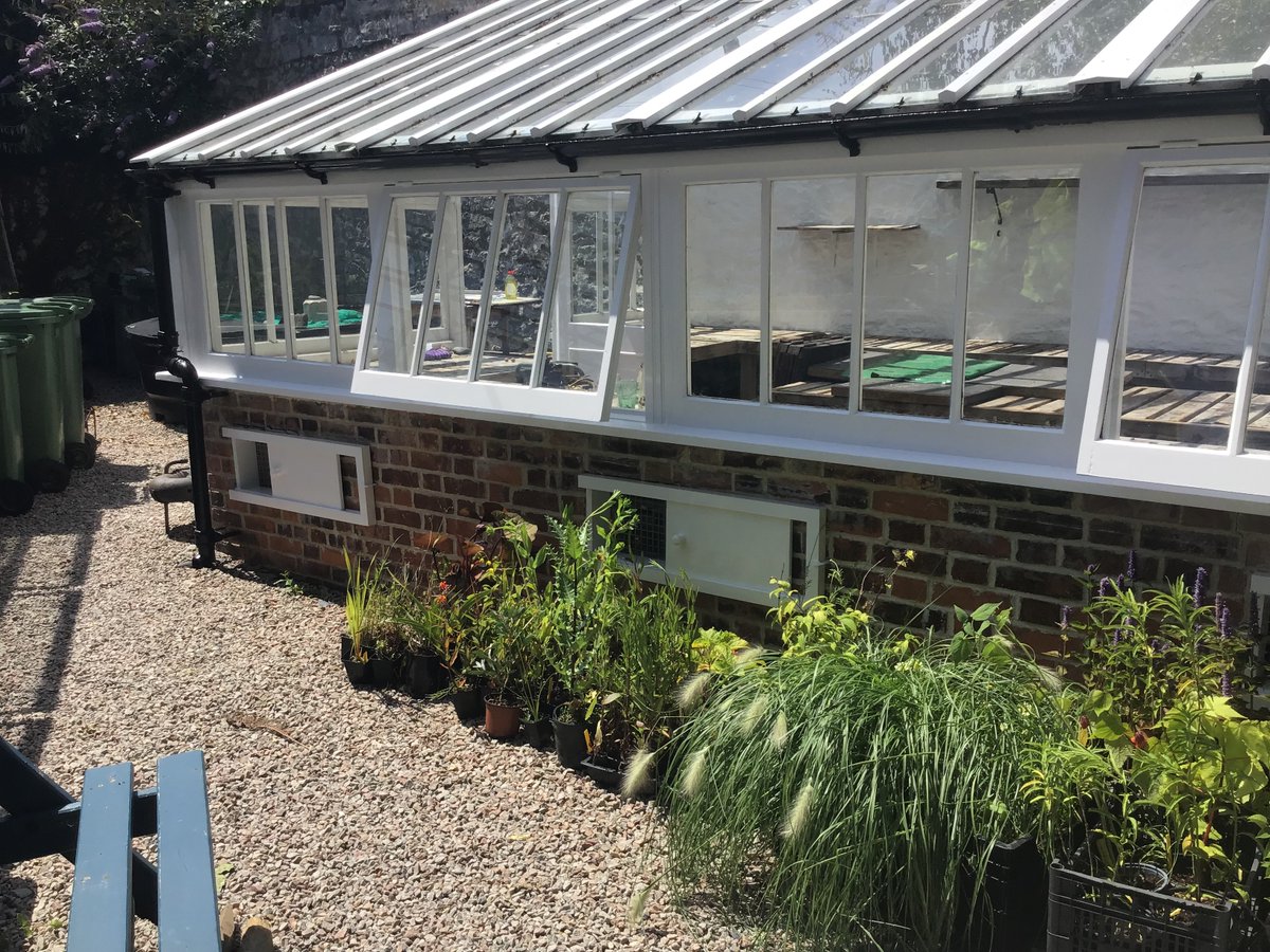 CORMACltd's tweet photo. We recently repaired and painted a greenhouse for Morrab Gardens in Penzance. This involved safety works to maintain the structure and painting the back wall to manage the temperature in the greenhouse.

Learn more about Morrab Gardens here: https://t.co/hmV1T1vZAs
#penzance https://t.co/t6BXMo684g