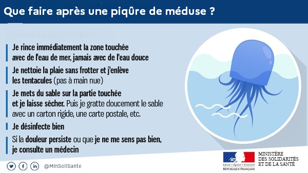 #Prévention | ⚠️  Méduses signalées sur certaines plages du #Var !
👀 Prudence avant de se jeter à l'eau.
🔴 Les méduses qui viennent de s'échouer sur la plage sont toujours urticantes. Attention à ne pas marcher dessus ni les ramasser à la main !
👉 meduse.acri.fr/home/home.php