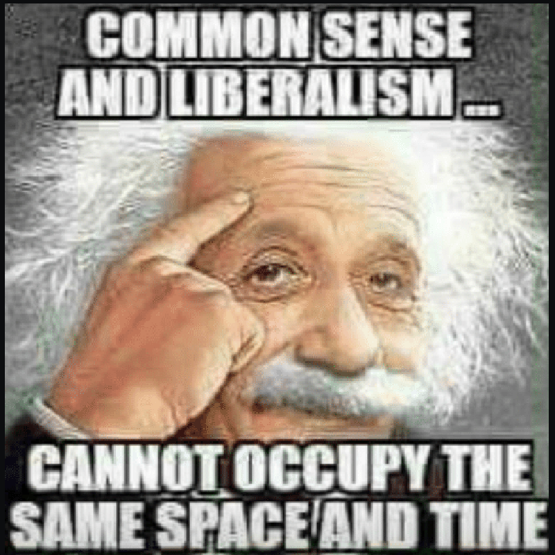 AgentSquirrel01's tweet photo. -
🕵🏼‍♂️#AgentsTweets  #AmericaFirst #SaveAmerica 🐿️ 

Each And Every Day, Liberals Make This Painfully Obvious. It's Like They've Been Inoculated Against Common Sense?? 🤔🤔🤷🏽
- https://t.co/VFijpELpYt