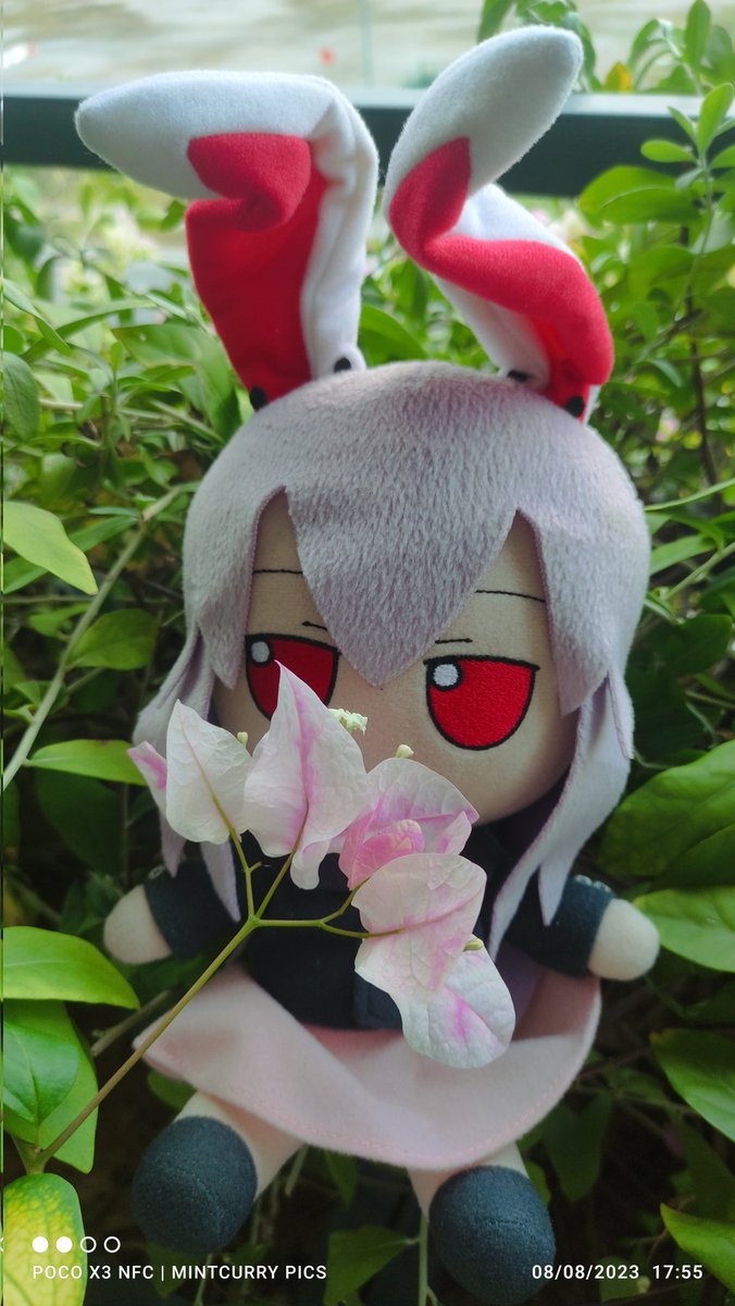 'Day 8: No time for Rum.'

Could not find time to find rum to make an opposite of yesterday's, involving Rum and Reisen. 

So Reisen found pretty flowers behind the car to enjoy with. 

#reisenudongeininaba #udonge #touhou #fumo #plushie #paperflowers #bougainvillea