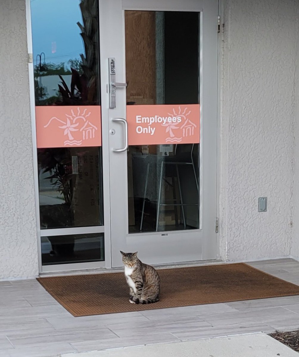 CatWorkers's tweet image. 
