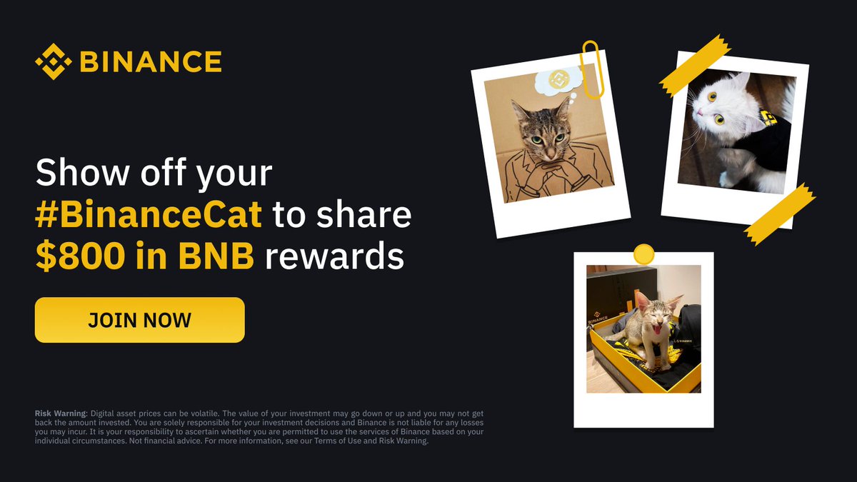 Celebrate #InternationalCatDay with us 🐱 Show off your #Binance cat to win from $800 in #BNB To enter: 🔸 Retweet 🔸 Follow @Binance 🔸 Tweet a photo or video of your cat with #Binance elements using #BinanceCat The top 5 will win $100, with the next 6 winning $50 each!