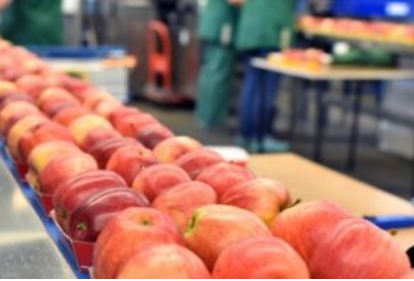 ✔Una #limpieza y #desinfección adecuadas en la industria alimentaria evita la propagación de la #salmonela (bacteria que produce la salmonelosis) que puede encontrarse en alimentos crudos.🦠
Conoce más sobre las buenas prácticas de #higiene #alimentaria en nuestro blog