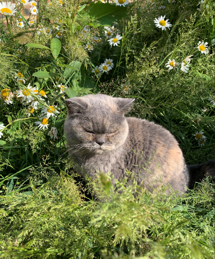 TT Games tweet media