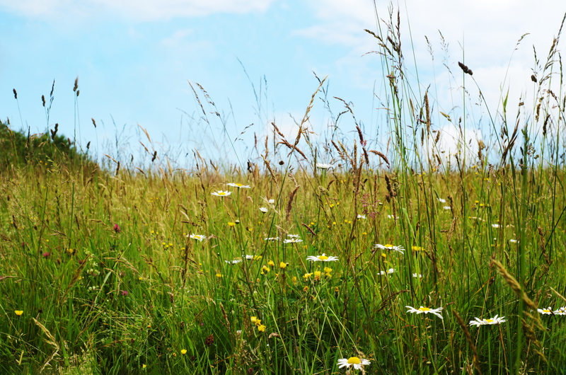 CPD!  Join LISW for 'Biodiversity Net Gain in Practice', Workshop in Exeter.
 A free half-day BNG training session, 11 October 2023,  9-1pm, Exeter. 
To book email Mel:  office@ecological-surveys-ltd.co.uk 
#landscape_policy #BiodiversityNetGain #BNG #Workshop #TrainingSession