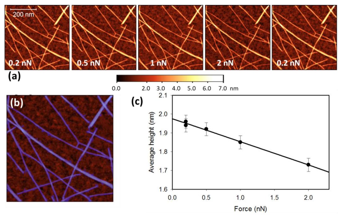 MikroMasch's tweet image. Our 4-cantilever AFM probes HQ:XSC11/Al BS support this research on how to measure the diameter of single-wall carbon nanotubes (SWCNT) accurately by taking account of compression effects and roughness.
mdpi.com/2079-4991/13/3…
#AFMProbes #AtomicForceMicroscopy