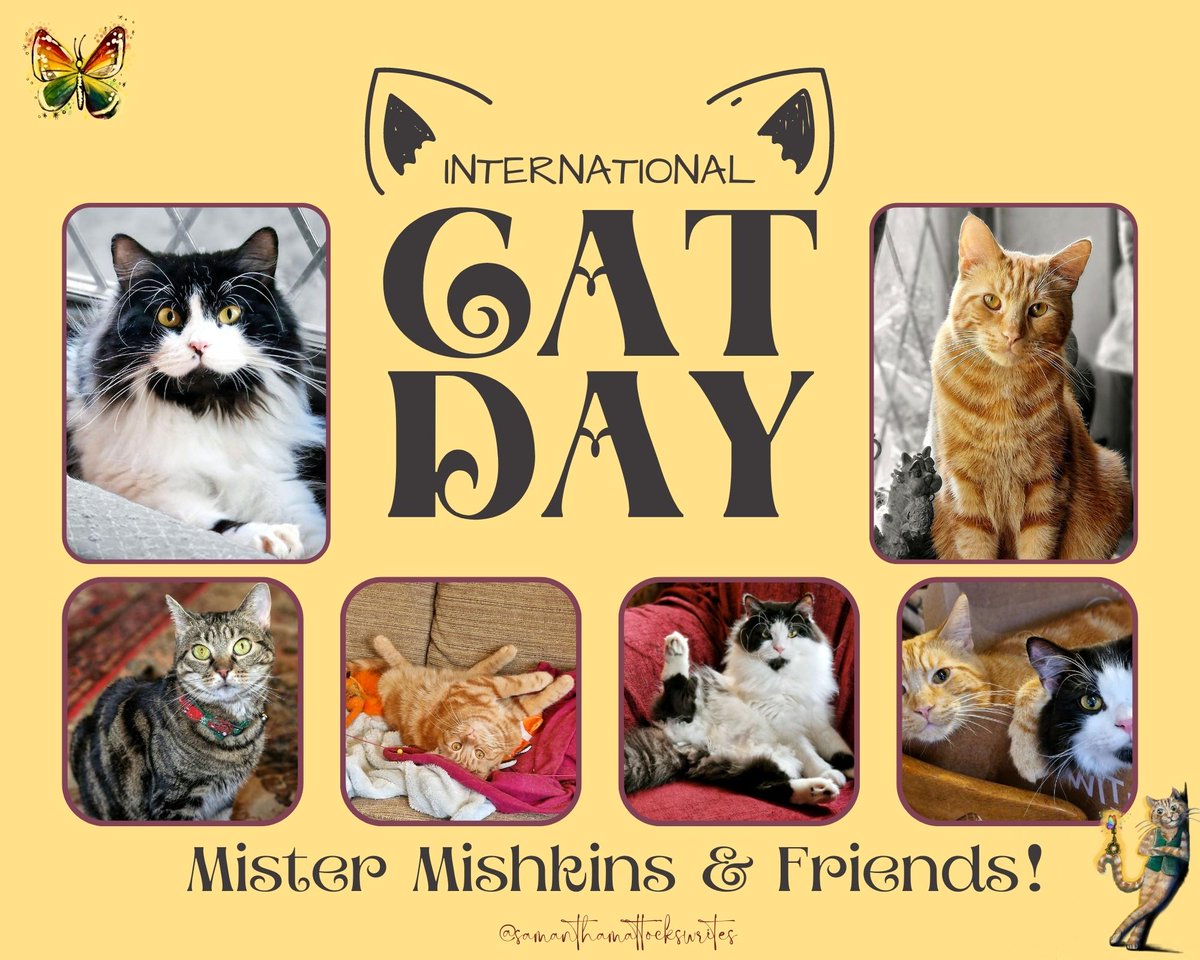 Thanks <a href="/vernonkay/">Vernon Kay</a> <a href="/BBCRadio2/">BBC Radio 2</a> for reminding me about #InternationalCatDay - here are my feline family, with the star being Mister Mishkins. My first children's book - Mister Mishkins' Apothecary - is out on 3 October 2023. 

#childrensbook #CatsOfTwitter