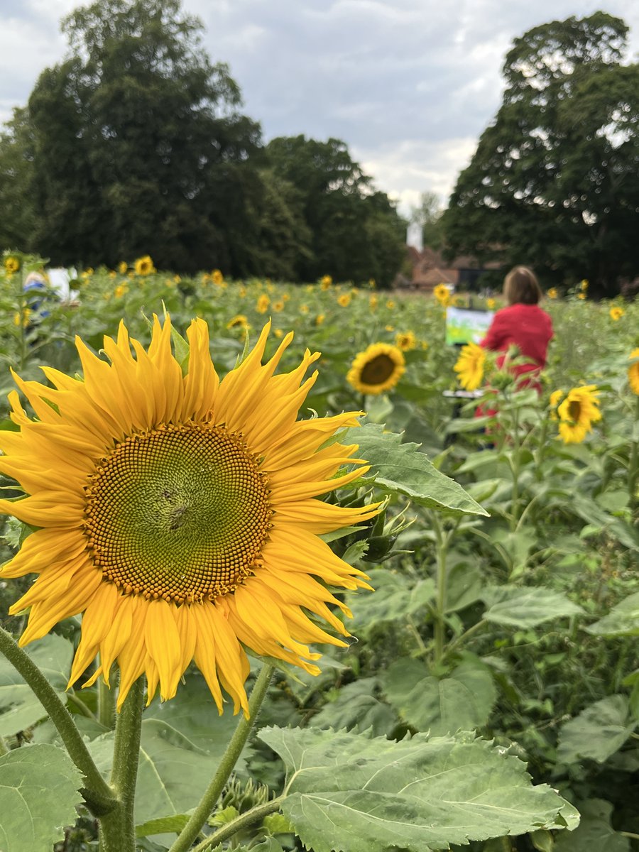 WHorsleyPlace's tweet photo. Are you planning to drop in and see us for Paint &amp; Pimms this week? Thursdays 6-8 pm through August.  A glass of Pimms is included in your ticket (£10). Book ahead or drop in on the night. 
https://t.co/Px97LZL7nN
#westhorsleyplace #artdropin #kt24 https://t.co/LV732MGgjA
