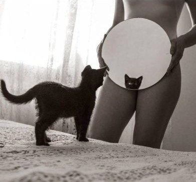 ReplicanteBueno's tweet photo. #DiaInternacionalDelGato
#DiaInternacionalDelOrgasmoFemenino https://t.co/76I7nrQ3YR