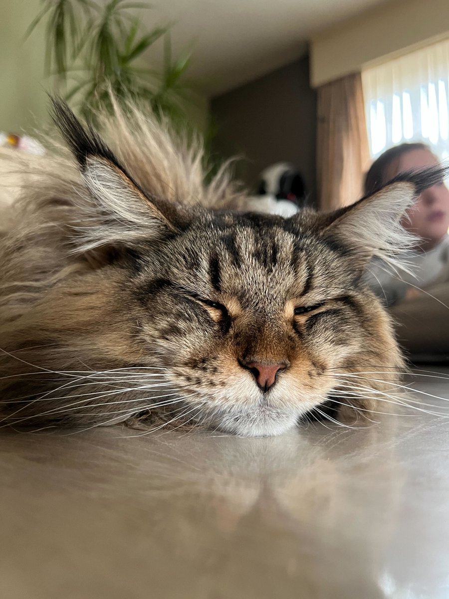 Appeel.io tweet media