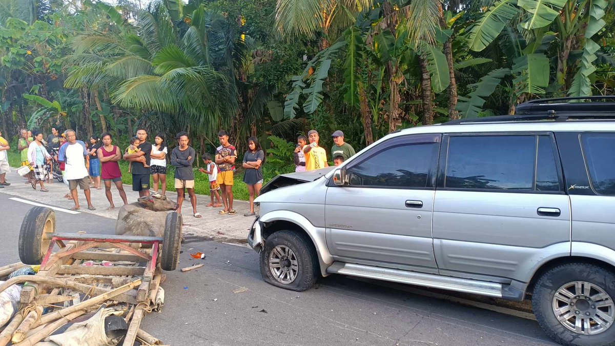 [UPDATED] KALABAW NA HUMIHILA NG KARWAHE, PATAY MATAPOS MASAGASAAN

Binawian ng buhay ang isang kalabaw matapos nabangga ng isang SUV sa Barangay Moguing sa Burauen, Leyte, August 7.