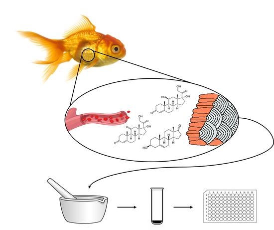 Fishes_MDPI's tweet photo. 🐬#Fishes #featurepaper
"First Look into the Use of #FishScales as a Medium for #MultiHormone Stress Analyses" by Emily K. C. Kennedy et al. from University of Saskatchewan
📚https://t.co/GUhruAYRRq
📌#biomonitoring #conservationphysiology; #glucocorticoids #physiologicalstress https://t.co/wdRLhAXOKm