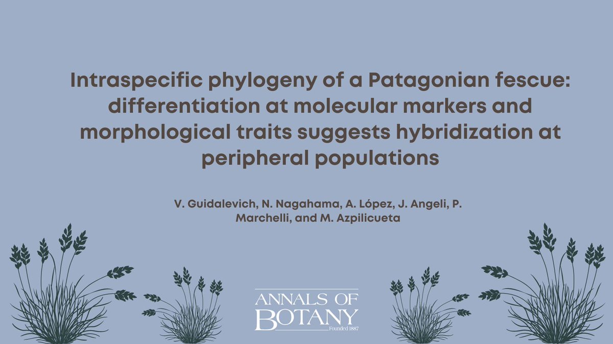 🌾<a href="/annbot/">Annals of Botany</a> paper ‘Intraspecific phylogeny of a Patagonian fescue: differentiation at molecular markers and morphological traits suggests hybridization at peripheral populations’ by V. Guidalevich et. al. is  available #openaccess for a limited period. doi.org/10.1093/aob/mc… (1/8)
