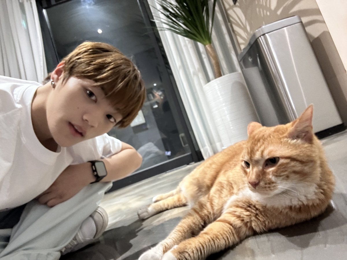 TIOT_NOW's tweet photo. [#레디_time⏰]
🐈‍⬛🐈
#세계고양이의날

#최우진 #CHOIWOOJIN
#RedstartENM #레드스타트이엔엠 https://t.co/hlUJvHGQDn