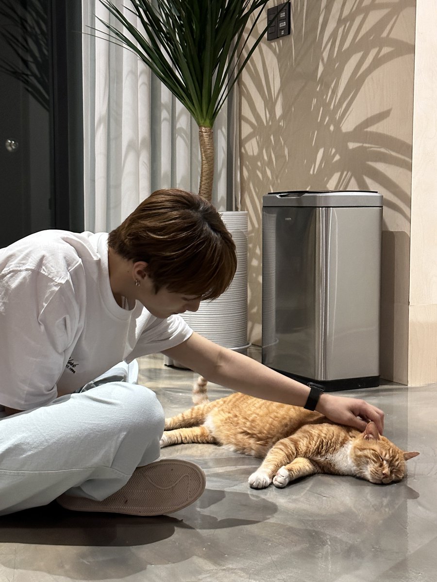 TIOT_NOW's tweet photo. [#레디_time⏰]
🐈‍⬛🐈
#세계고양이의날

#최우진 #CHOIWOOJIN
#RedstartENM #레드스타트이엔엠 https://t.co/hlUJvHGQDn