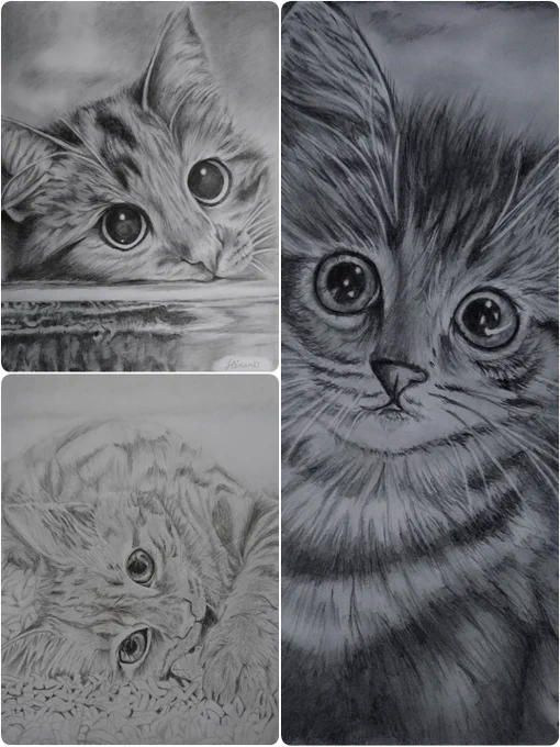 #世界猫の日 
猫ちゃんまとめてみました✨癒されて下さい😺
#鉛筆画 #模写 