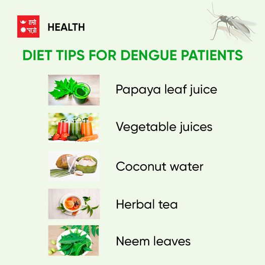 hamropatro's tweet photo. Diet tips for Dengue patients
Consult for any health issues ➡️https://t.co/IhYjBtnjyv
#HamroPatroHealth #telehealthnepal #healthtips #hamropatro