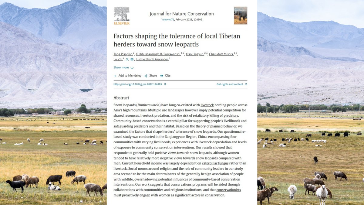 SnowLeopardNet's tweet photo. ๐ฐThis #TuesdayPapers brings interesting perspectives about the influence of #women & religion while shaping herder #tolerance toward snow leopards in the Tibetan Qinghai plateau. ๐ ๐๐ถ
Find it here: https://t.co/bNc9yxpCeo
#SLResearch #TheoryofPlannedBehavior #coexistence https://t.co/5B6Sb6ah7n