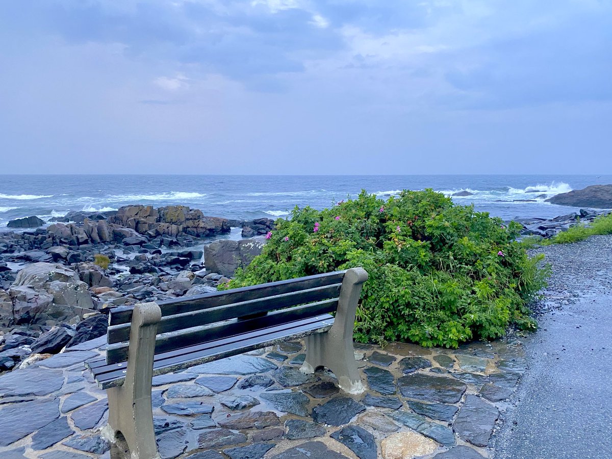 rick03907's tweet photo. Wet along  the Way #ogunquit #maine #marginalway ⁦@SharonRoseNCM⁩ ⁦@AaronMylerWX⁩ ⁦@hannahyechiviTV⁩ ⁦@jasonnappiwx ⁦@ChloeTeboe⁩ ⁦@StormHour⁩ ⁦@newscentermaine⁩ https://t.co/jFi2ilL0bB