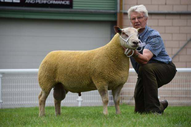 Gaina Morgan tweet media