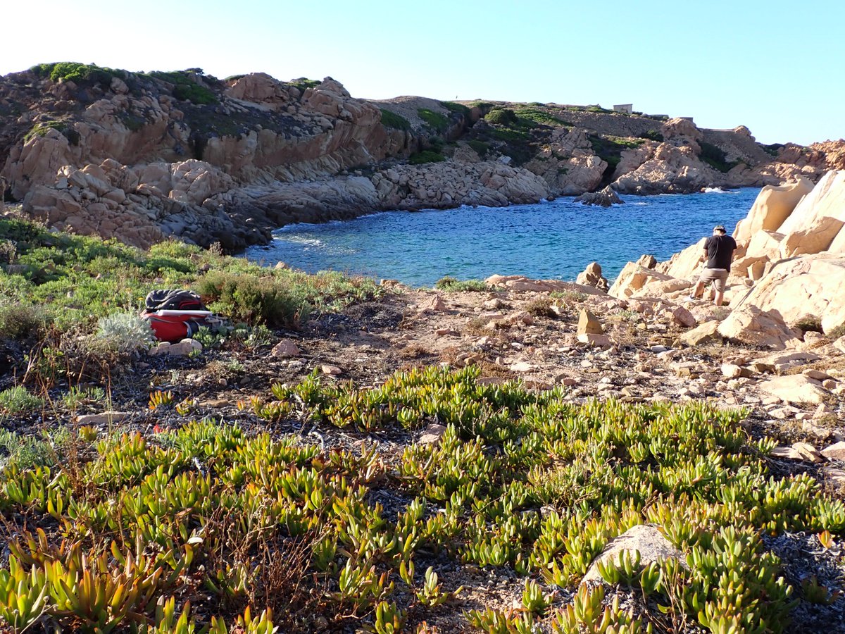 LIFE SEEDFORCE tweet media