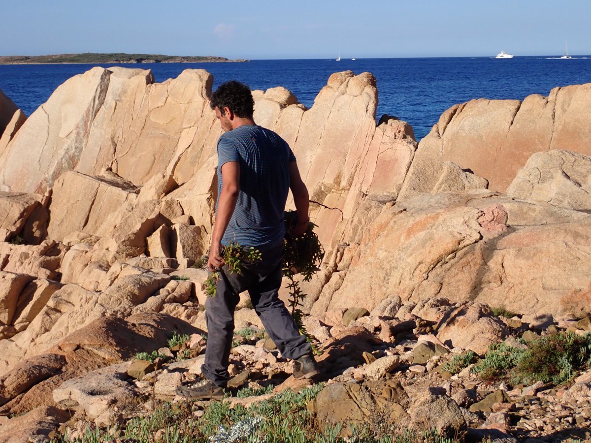 LIFE SEEDFORCE tweet media