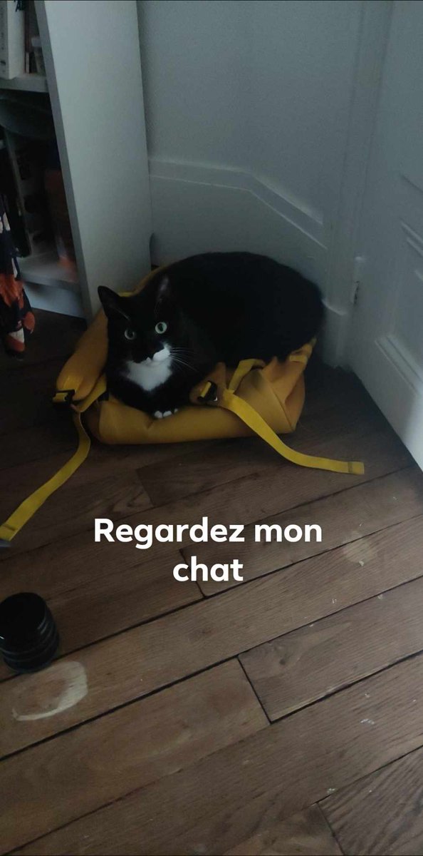 C'est la journée international des pepou